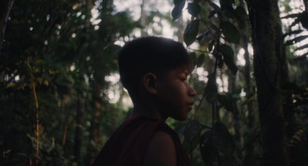 Un enfant dans la foret amazonienne