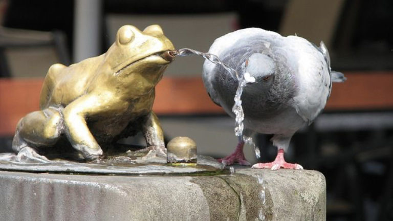La parabole de la Grenouille ou comment la production audiovisuelle s’effondre doucement