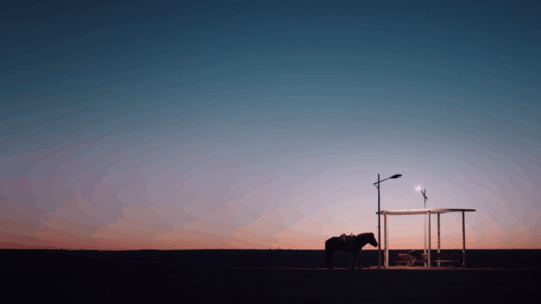 Camerimage 2020 : Öndög, l’appel de l’horizon (fr/eng)