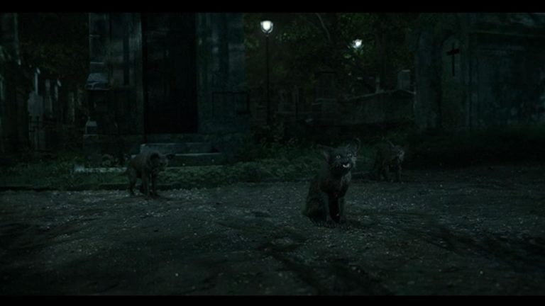 Camerimage 2021 : La « nuit » au cinéma – l’obscurité, entre naturalisme et fantasmes (fr/eng)