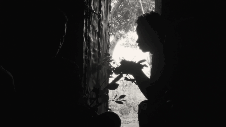 Camerimage 2021 : Le bilan (fr/eng)