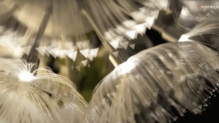 Camerimage 2022: Angénieux présente deux nouveaux zooms compacts et son système de personnalisation d’optique