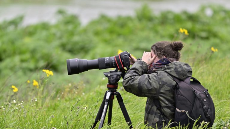 De l’affût à l’écran : portraits de chef.fes op animaliers