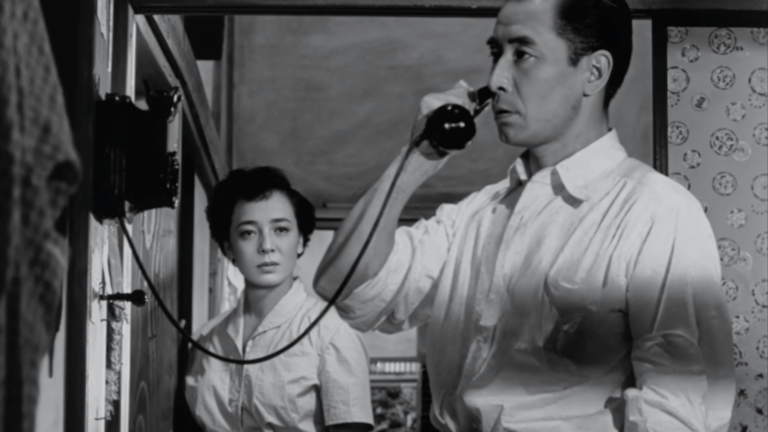 Festival Chefs Op’ en Lumière 2025 : Filmer l’intimité et l’économie des images spectaculaires