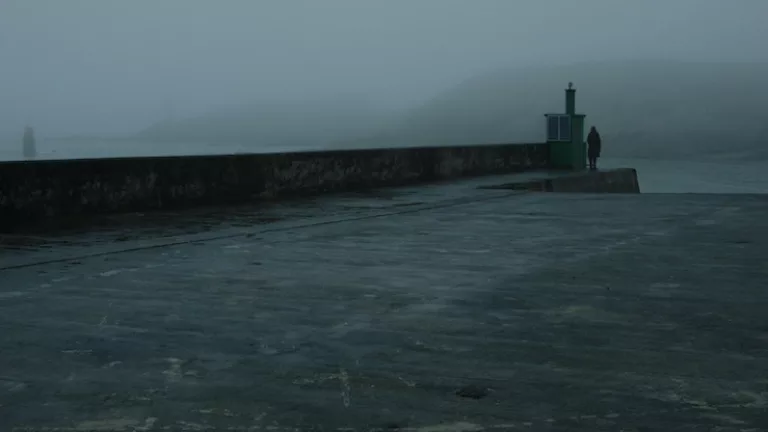 Les veilleuses de chagrin